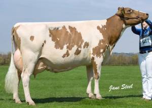 Marleycote Sea Lily 14 EX94(2E) 3 STARS