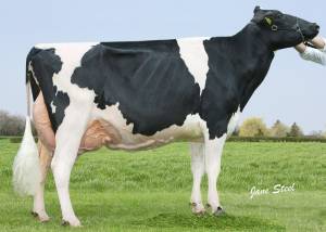 Priestland 5446 Shot J Rose EX96(3) SP LP100 4 STARS