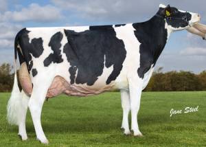 PRIESTLAND 6189 BANNER LAUREL EX95(4)