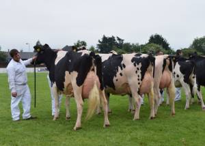 Ballymoney Show 2018