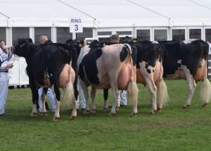 Balmoral Show 2016