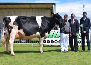 Ballymena Show 2018