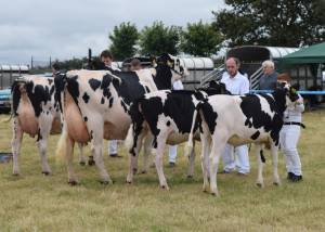 County Londonderry Show 2018