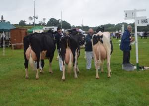 Fermanagh County Show 2106