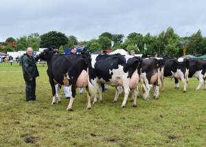 Omagh Show 2016