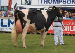 Balmoral Show 2018