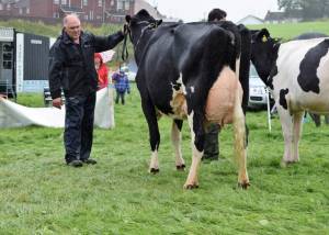 Fermanagh County Show 2017