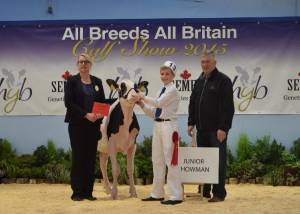 All Britain All Breeds Calf Show 2015