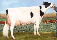 KINGSWAY SANCHEZ AMARDILLO ET (EX96-3E-CAN)